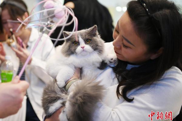 Basketball team defeats rival to win conference championship