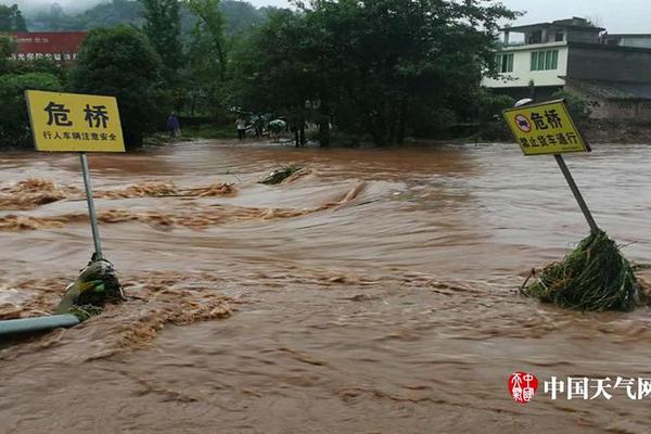 Dietitian suggests adding probiotic foods to diet for better gut health