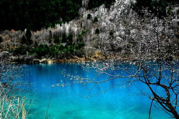 A car manufacturer unveiled a new hybrid SUV that gets 60 miles per gallon on the highway