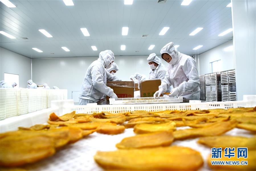 Researchers found that eating avocados regularly can lower bad cholesterol levels