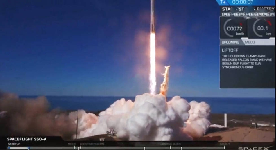 A new species of endangered sea turtle was discovered in the Pacific Ocean highlighting the need for conservation