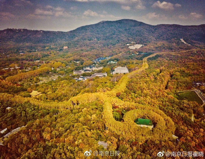 A community garden donated 150 pounds of carrots to a local food bank