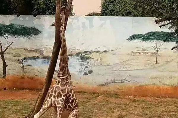 The government launched a campaign to promote healthy eating habits