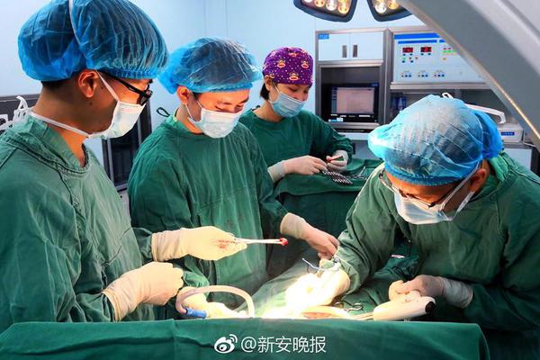 A popular social media app added a feature that lets users create and share short cooking videos