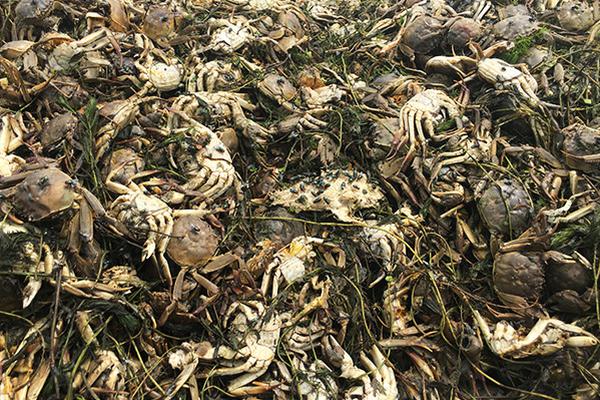 A bookstore started a program to read to children at local daycares