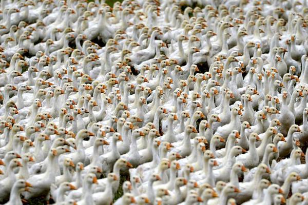 The World Health Organization launched a new campaign to promote childhood vaccination