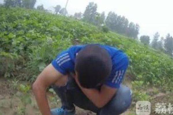 A study showed that drinking green tea regularly can boost metabolism in adults