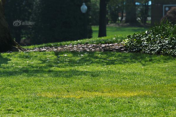 Local businesses organized a market to sell handmade products