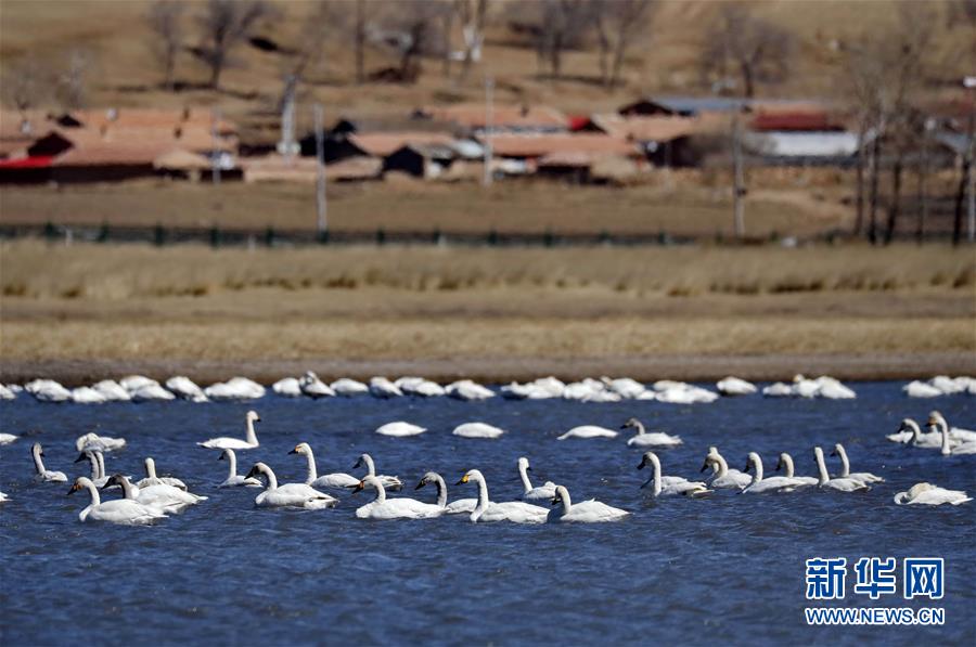 Study shows that drinking eight glasses of water daily improves skin hydration