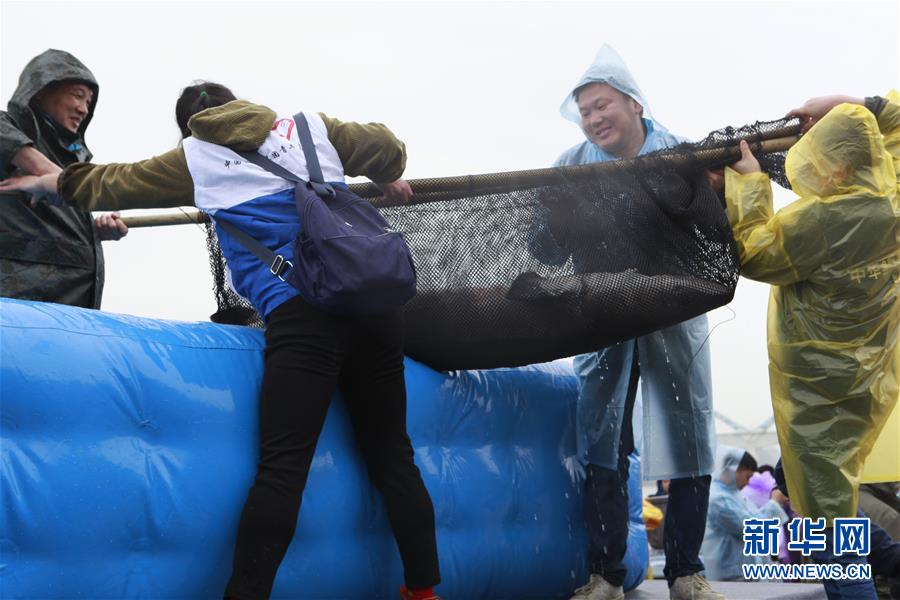 The government launched a program to provide free mental health counseling for veterans