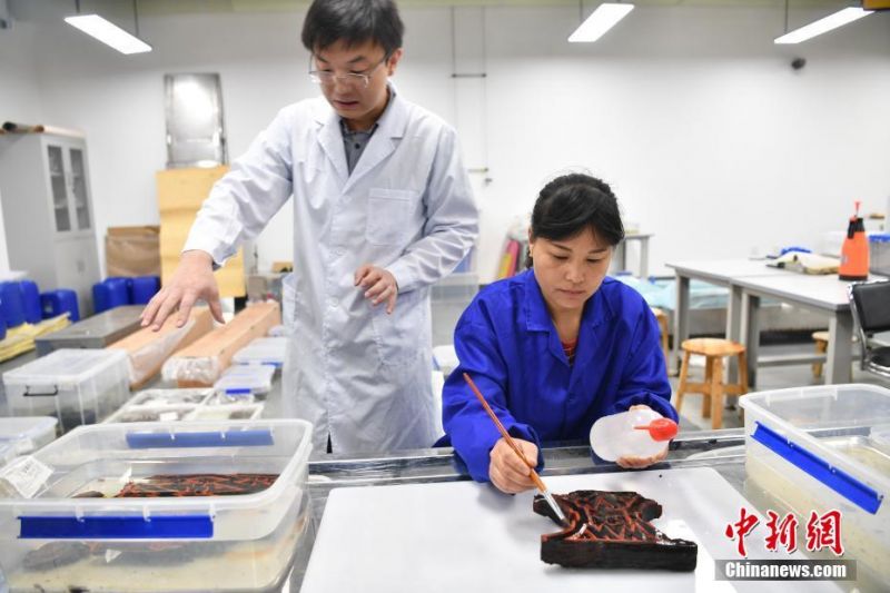 A major airline announced it will partner with a renewable energy company to power its flights with biofuel