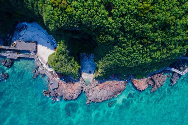 A team of marine biologists studied the impact of ocean acidification on coral reefs