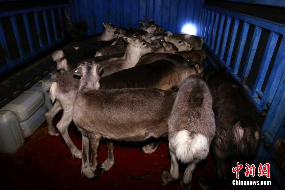 A local artist painted a mural celebrating the city’s diversity on a downtown wall