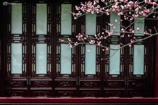 A charity organization started a program to help homeless people find jobs