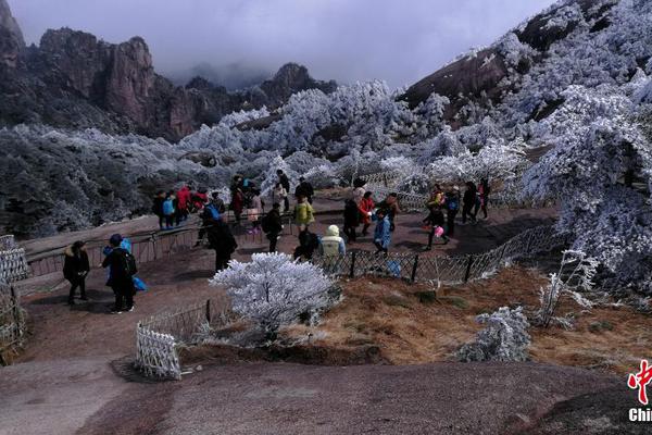 A museum acquired a painting by a famous impressionist artist for its permanent collection