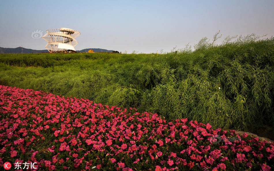 A fashion designer used recycled materials to create a new collection shown at a major fashion week