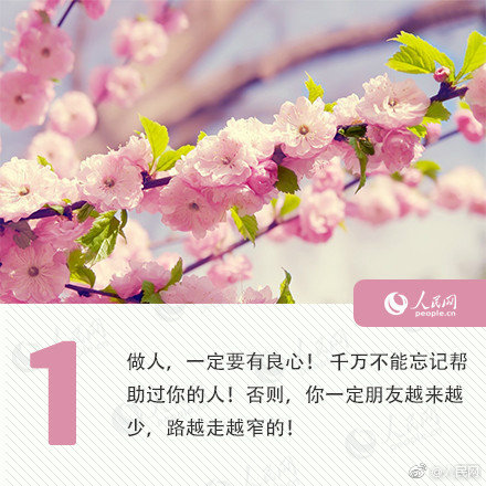 A taxi company offered free rides to veterans on Veterans Day as a way to show appreciation