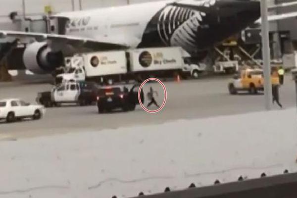 A software company released a new project management app that is compatible with both desktop and mobile devices