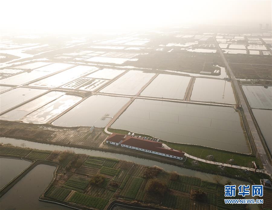 Local police partnered with schools to launch an anti-bullying campaign featuring workshops and awareness events