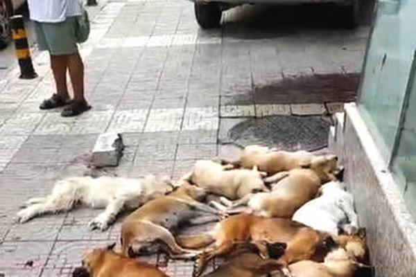 A construction company used 70% recycled materials to build a new community center