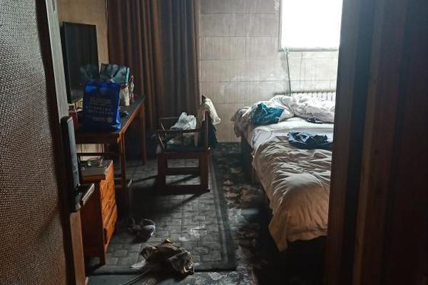 A new report showed that the number of college graduates entering the tech industry has increased by 20% in the past year