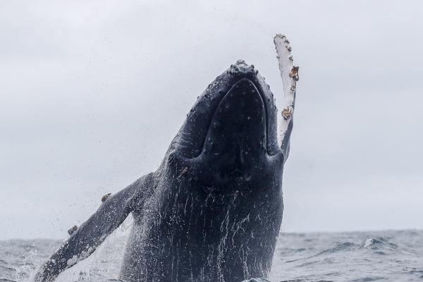 A clothing brand announced it will take back old clothes for recycling or reuse