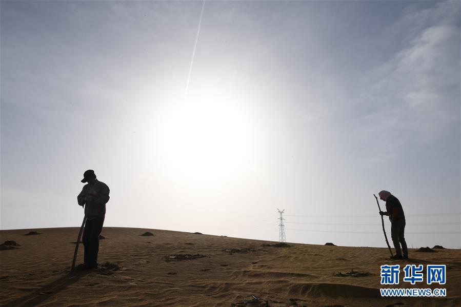 Coast guard rescues five sailors from sinking boat during severe storm