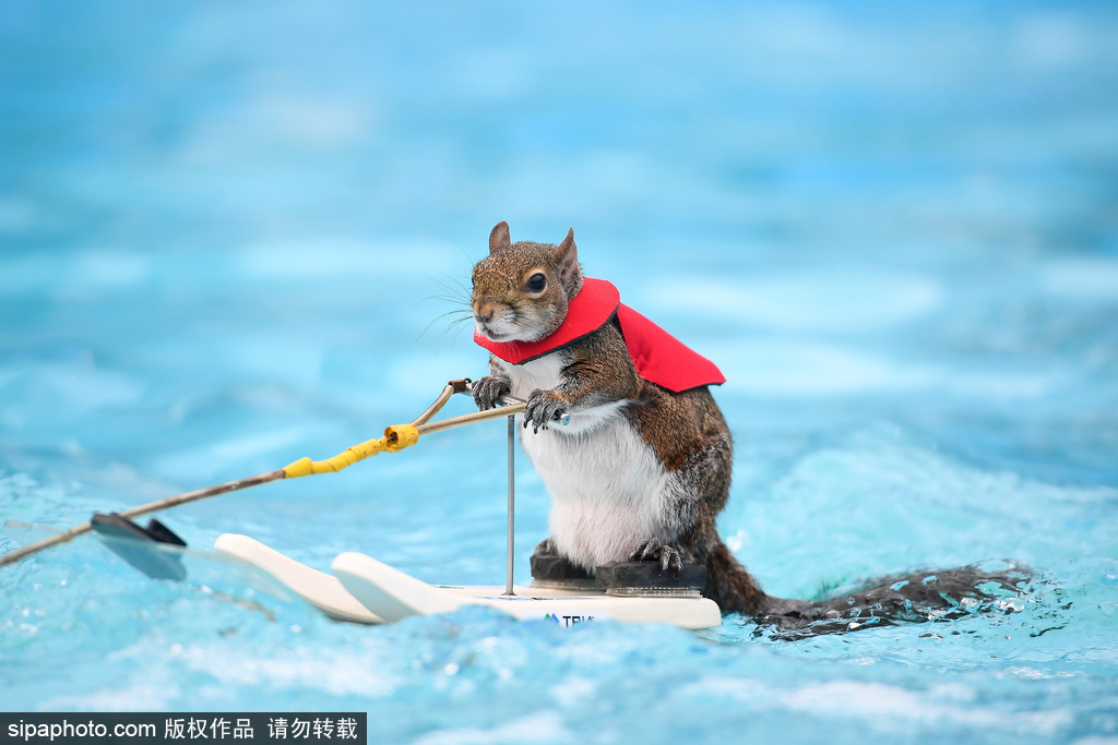 Magazine publishes exclusive interview with Oscar winning actress about new film