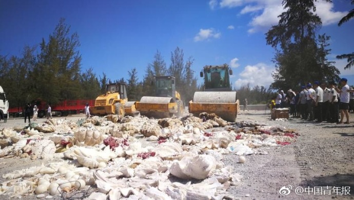 A charity raised funds to provide scholarships for low-income students