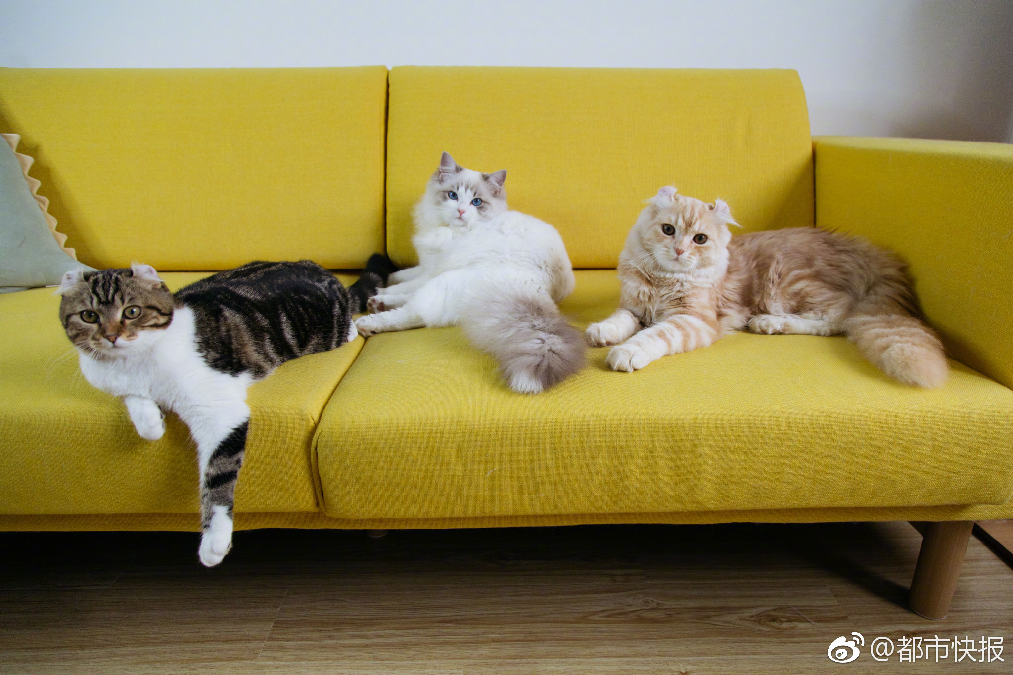 A tornado touched down in a small town, destroying 30 homes and a local high school