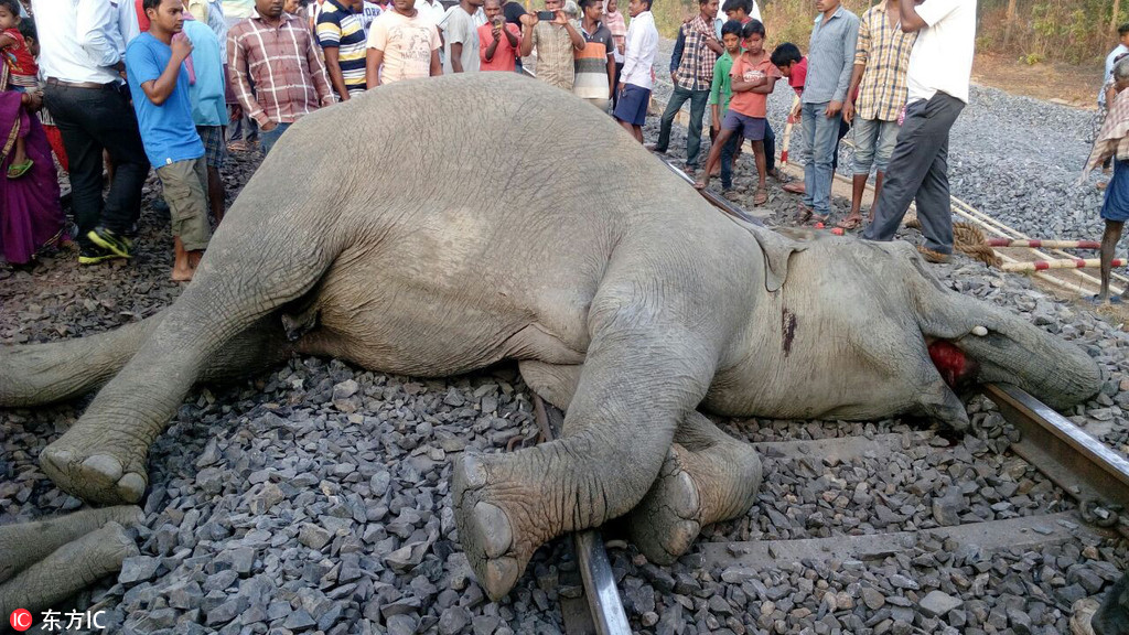 The government increased funding for cancer research to find new treatments and cures