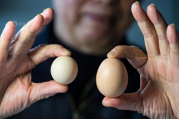 Park rangers offer night hikes to observe nocturnal wildlife