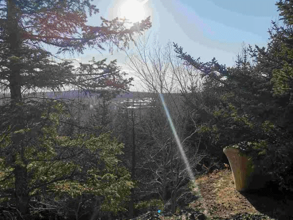 A construction company used 3D printing technology to build a small affordable home in two weeks