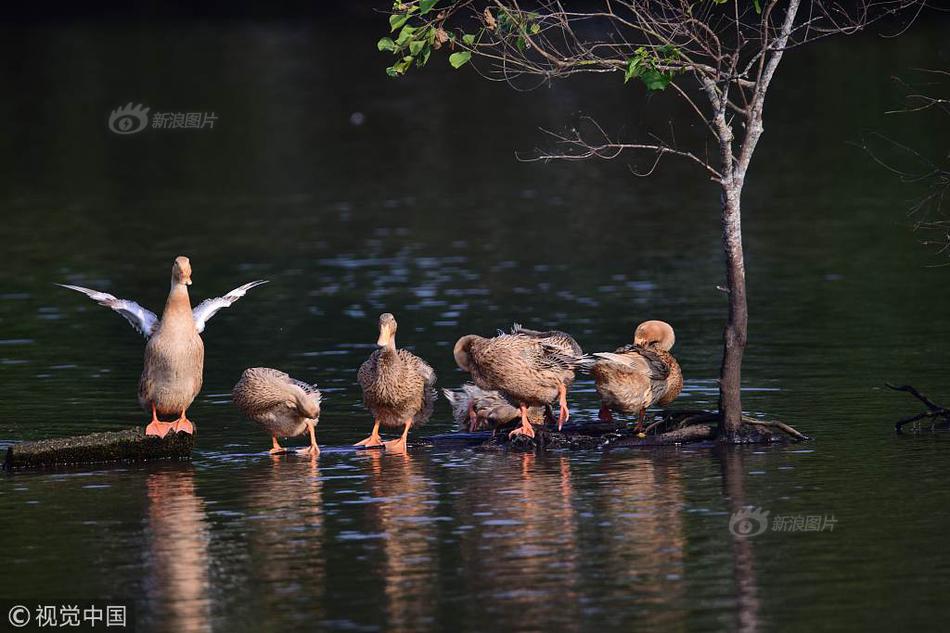The government announced a new initiative to provide free internet access to all rural schools