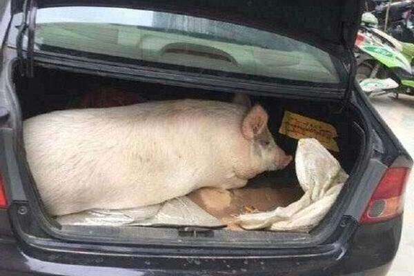 A popular restaurant chain opened its first location in a small town, creating 50 new jobs