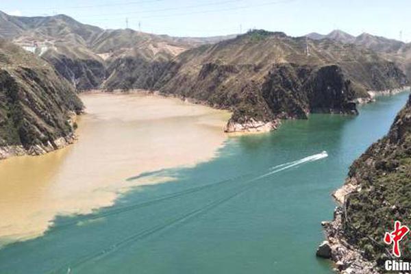 A toy company released a new line of building sets designed to teach kids about engineering