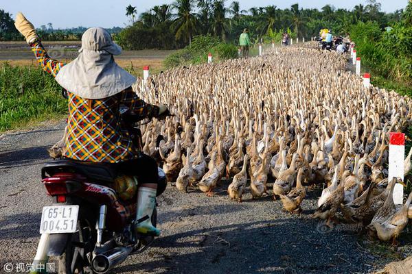 A new bridge over the river will reduce traffic congestion