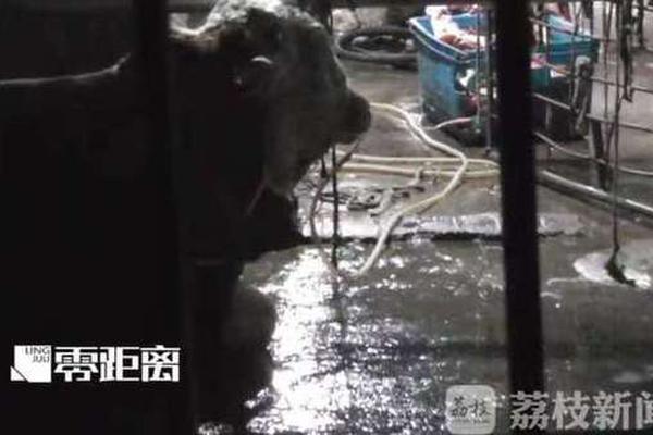 A local theater company announced a new season featuring classic plays and original works by local playwrights