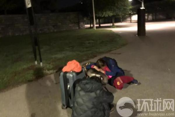 A team of veterinarians opened a new animal hospital specializing in exotic pets