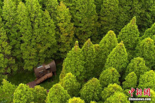 Dance studio hosts summer camp for kids interested in hip hop and ballet