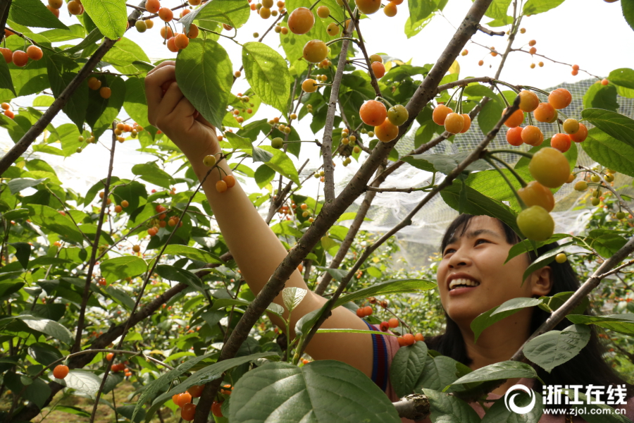Study shows that drinking enough water reduces headaches