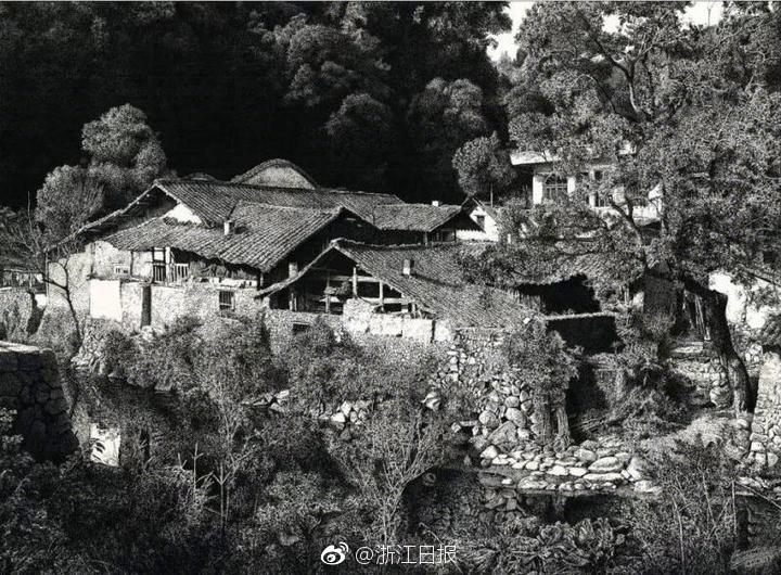 Researchers found that eating avocados regularly can lower bad cholesterol levels