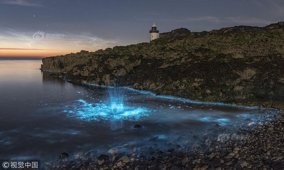 Local police partnered with animal shelters to reduce the number of stray animals