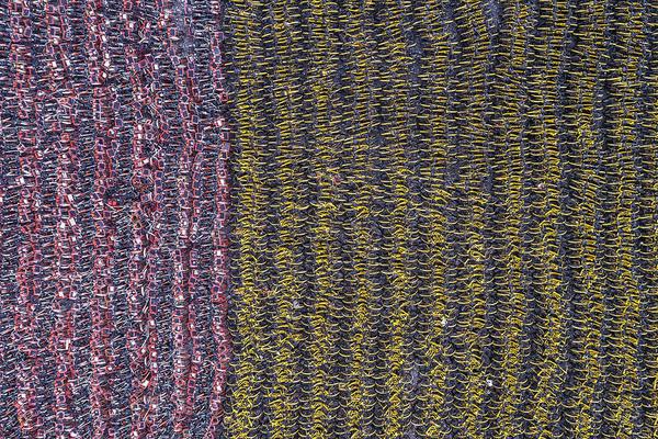 The city hosted an art fair with works by local artists