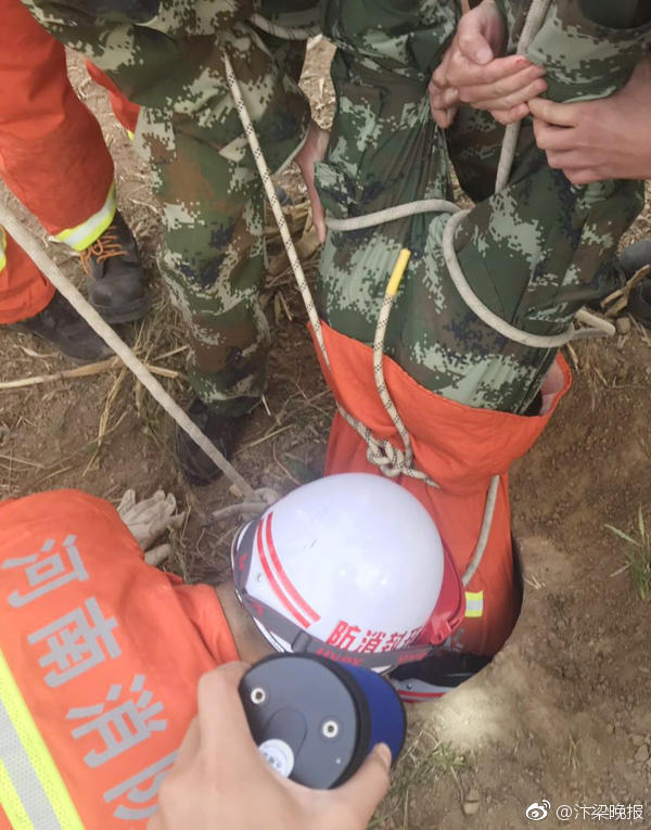 A software developer created a new app that helps users track their monthly spending and savings goals