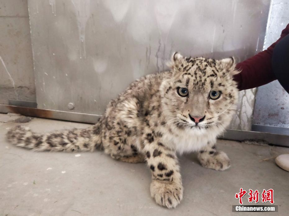 A local restaurant won a national award for its food