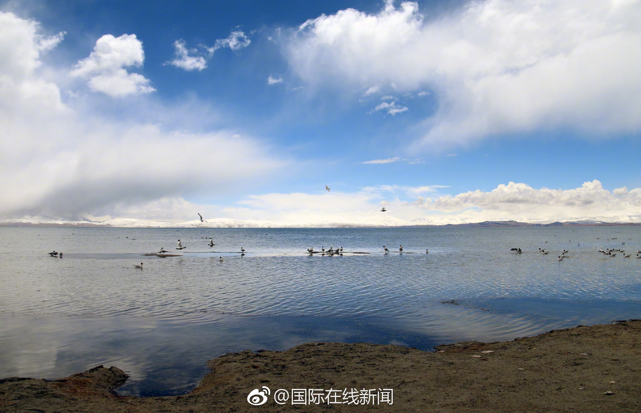 A museum displayed ancient Egyptian artifacts that had been on loan from a foreign museum