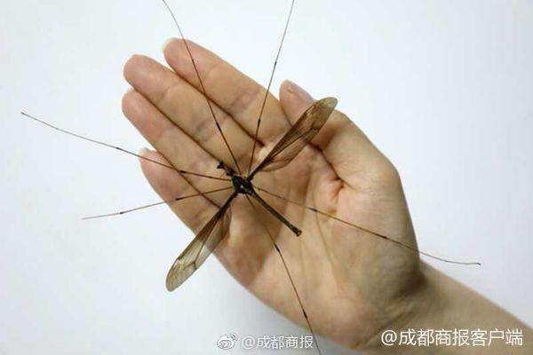 International teams are working together to address climate change