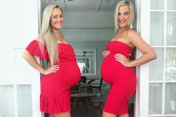 Researchers created a biodegradable plastic bag that breaks down in soil within three months