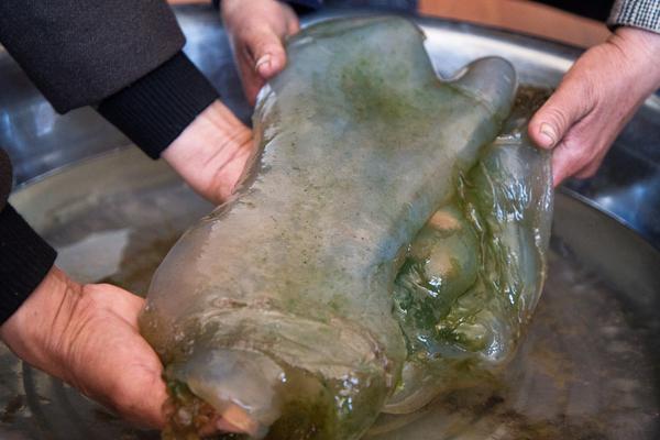 A severe hurricane made landfall on the southeastern coast bringing strong winds and heavy rain to the area